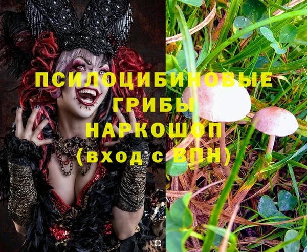 гашик Кинешма